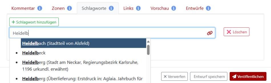 Figure 17: Tag-Editor
